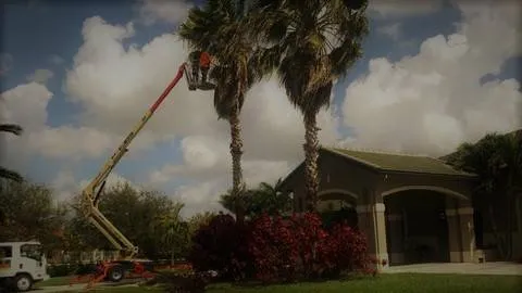 Expert lawn care service near you across Cooper City, FL - True Image Landscaping
