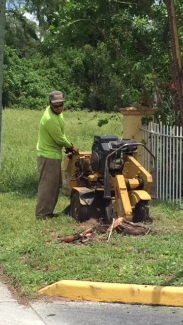 Custom yard cleanup service experts serving Cooper City, FL - True Image Landscaping