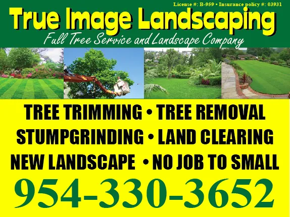 Top-rated landscaping services in Cooper City, FL - True Image Landscaping