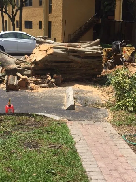 Professional landscape installation experts serving Cooper City, FL - True Image Landscaping