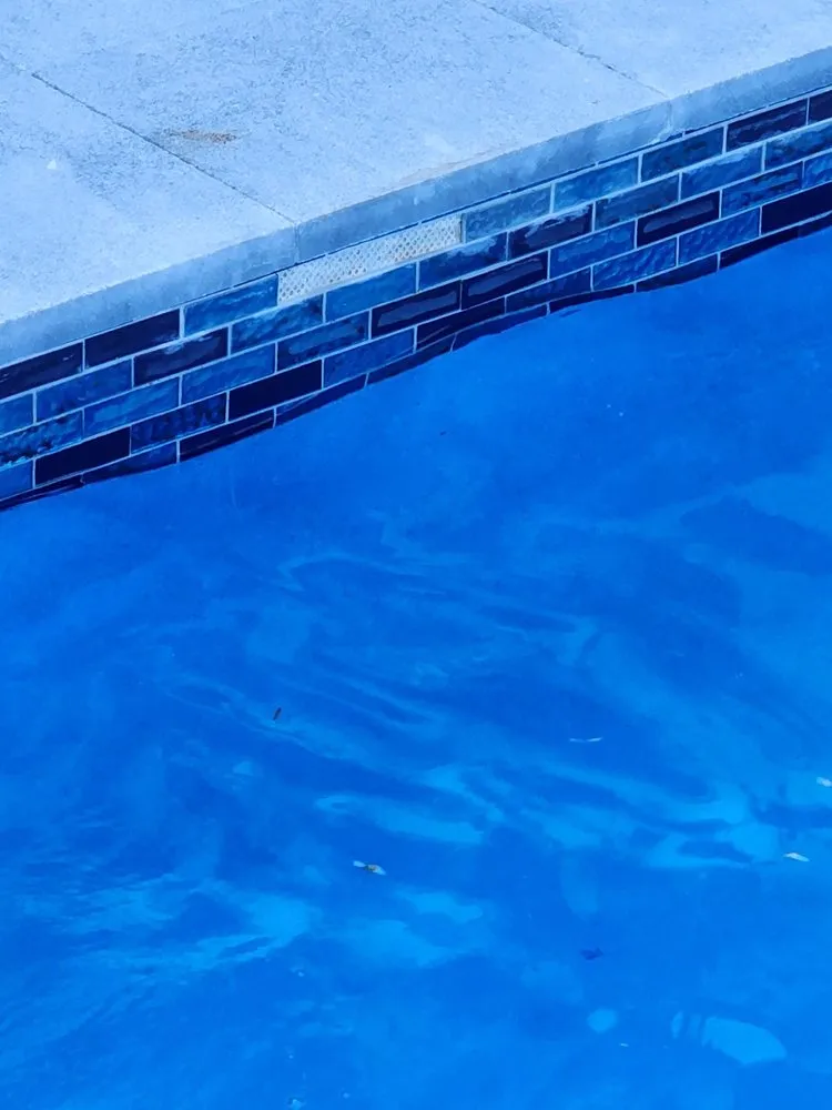 Top-rated yard maintenance for outdoor upgrades across Cooper City, FL - True Image Landscaping