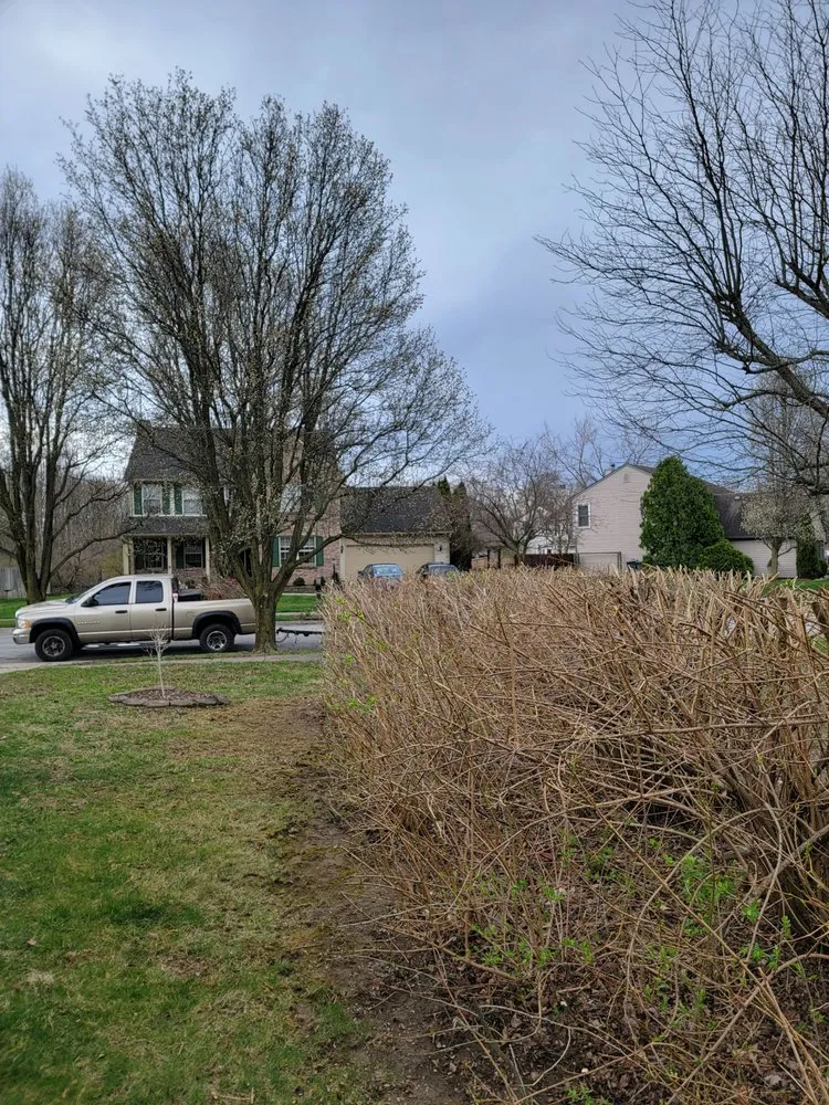 Custom residential landscaping in New Palestine, IN by True Integrity Lawns