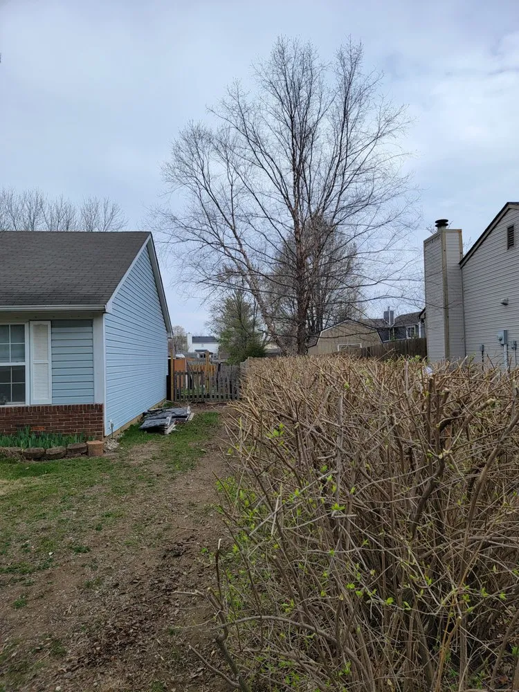 Reliable garden landscaping experts serving New Palestine, IN - True Integrity Lawns