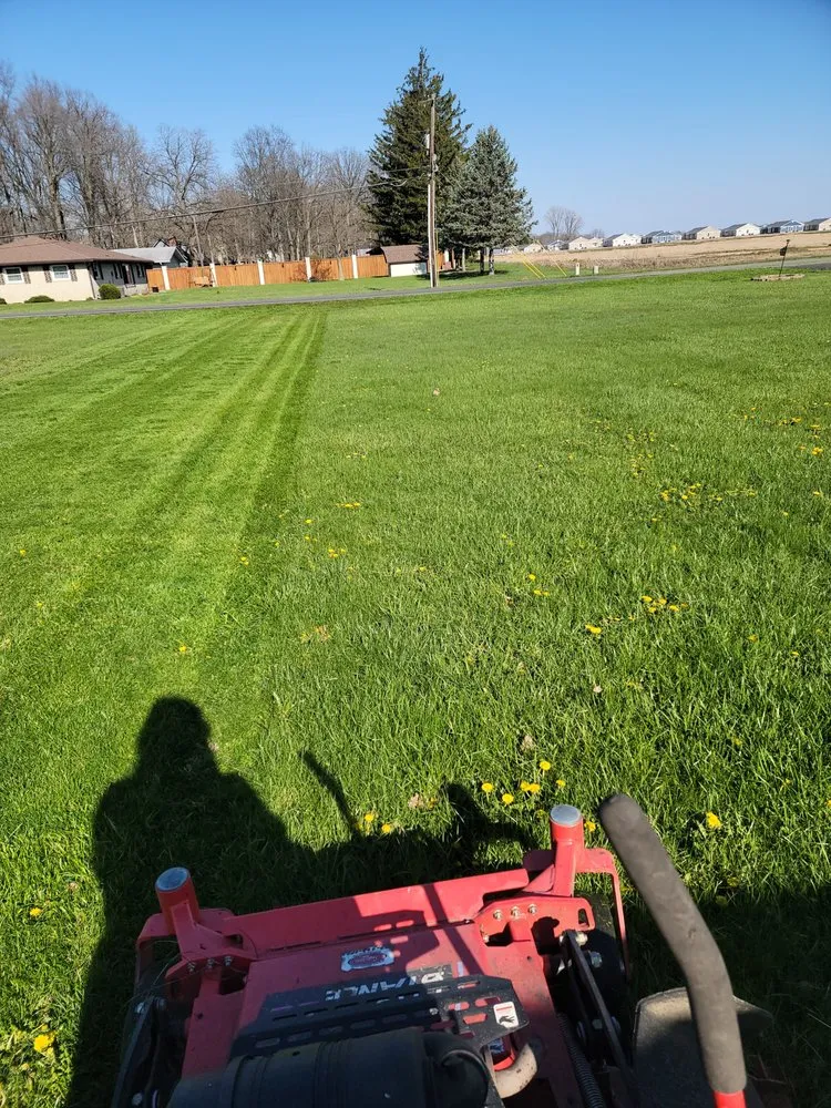 Trusted garden landscaping near you across New Palestine, IN - True Integrity Lawns