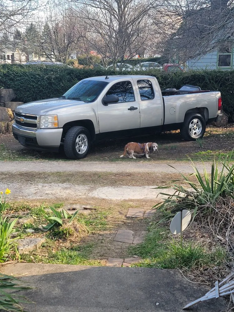 Professional residential landscaping in New Palestine, IN by True Integrity Lawns