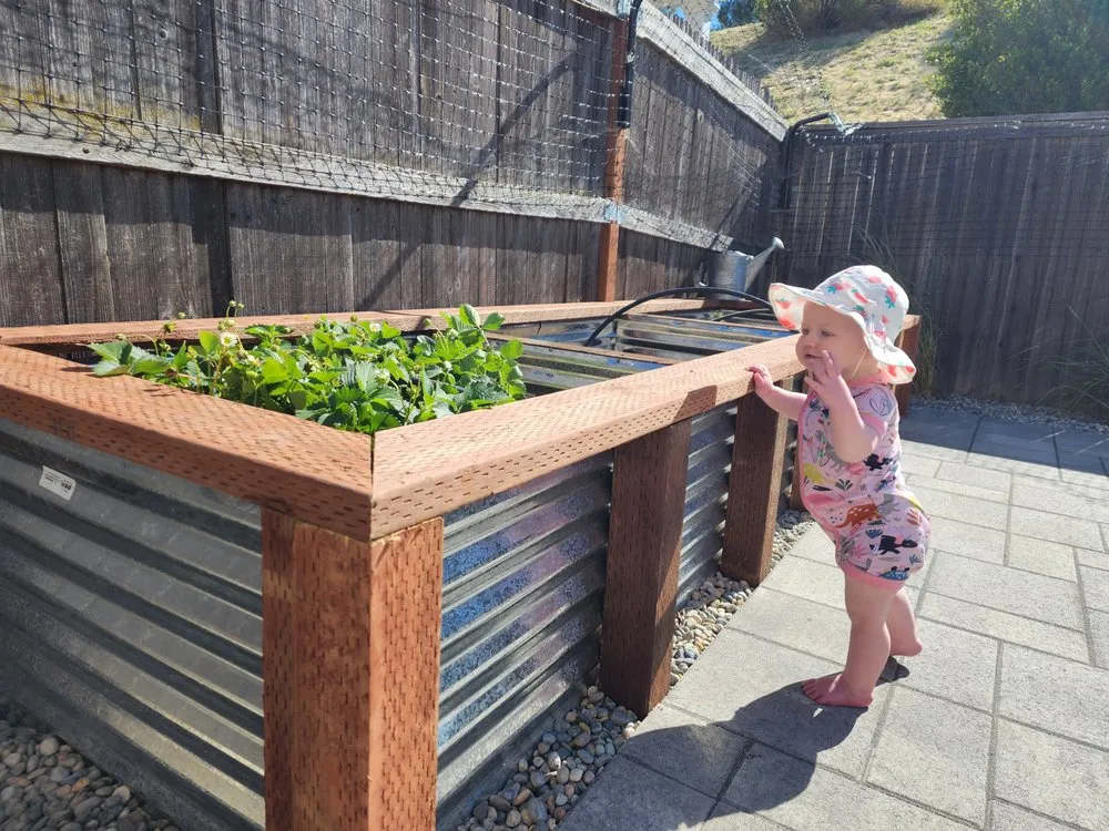 Professional yard cleanup service experts serving Santa Maria, CA - True Landscape