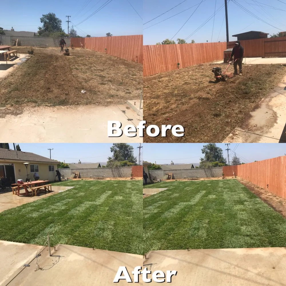 Local landscaping services near you across Santa Maria, CA - True Landscape