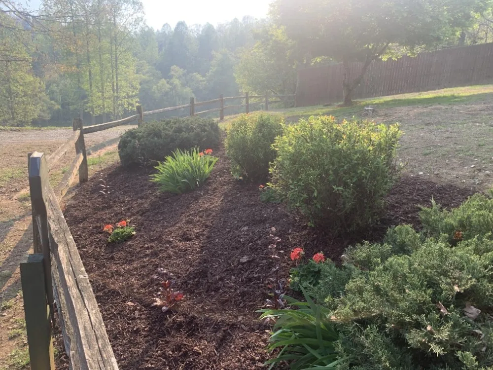 Top-rated yard cleanup service in Hayesville, NC by True Landscapes