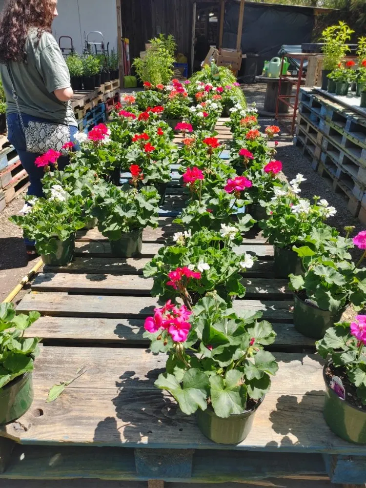 Local garden landscaping in Hayesville, NC - True Landscapes