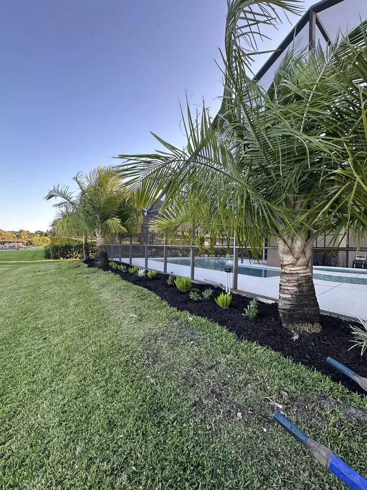 Affordable garden landscaping in Davenport, FL by True Landscaping and Concrete