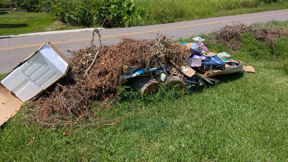 Reliable lawn care service near you in Davenport, FL by True Landscaping and Concrete