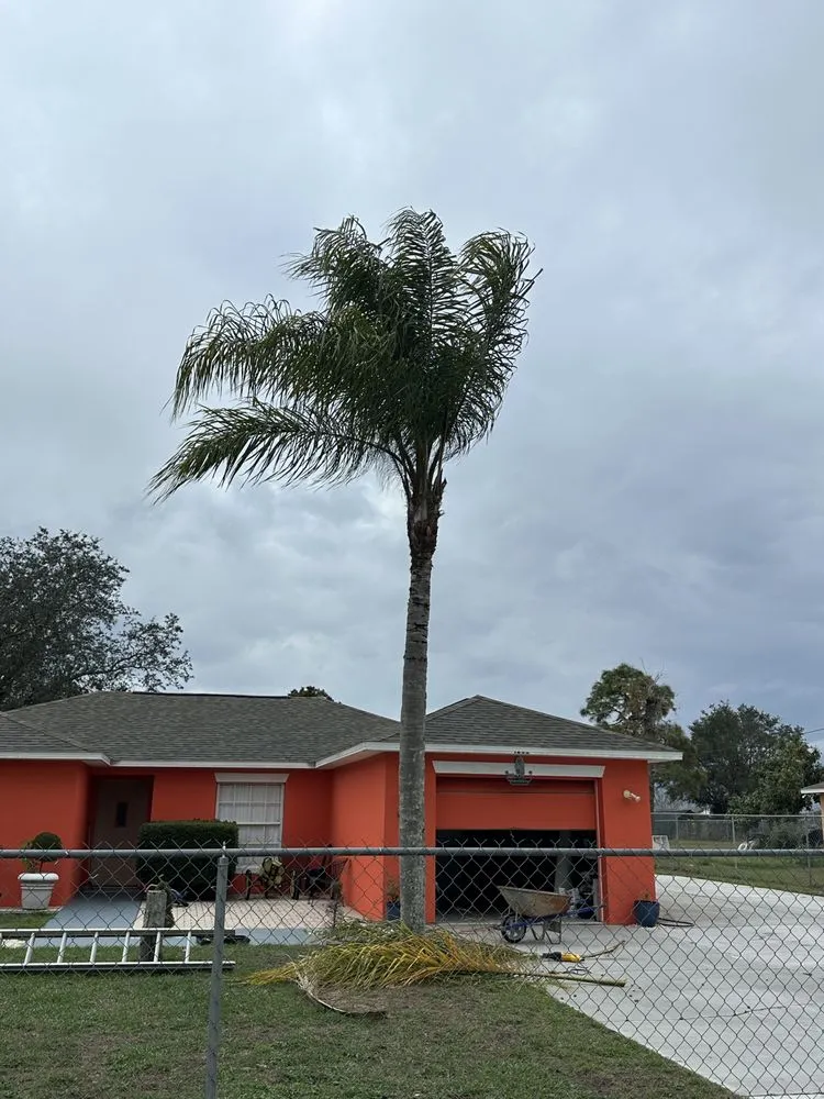 Top-rated yard maintenance in Davenport, FL - True Landscaping and Concrete