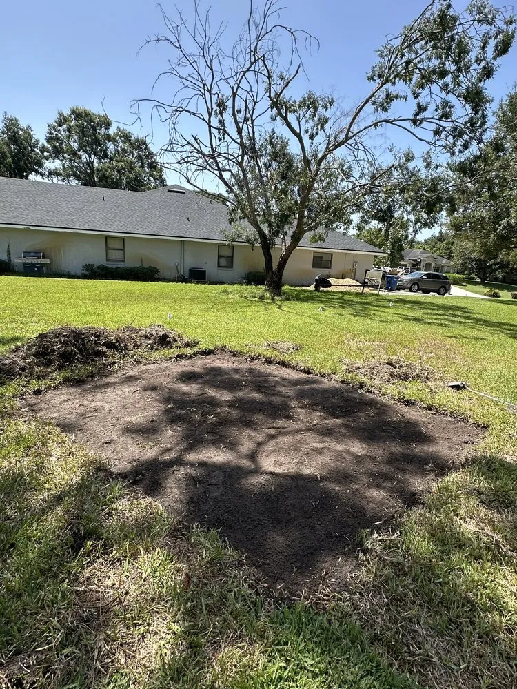 Affordable lawn care service in Davenport, FL - True Landscaping and Concrete