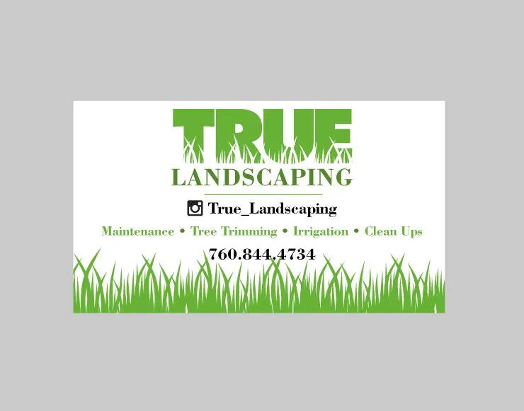 Affordable lawn mowing service for residential properties in Palm Springs, CA by True Landscaping