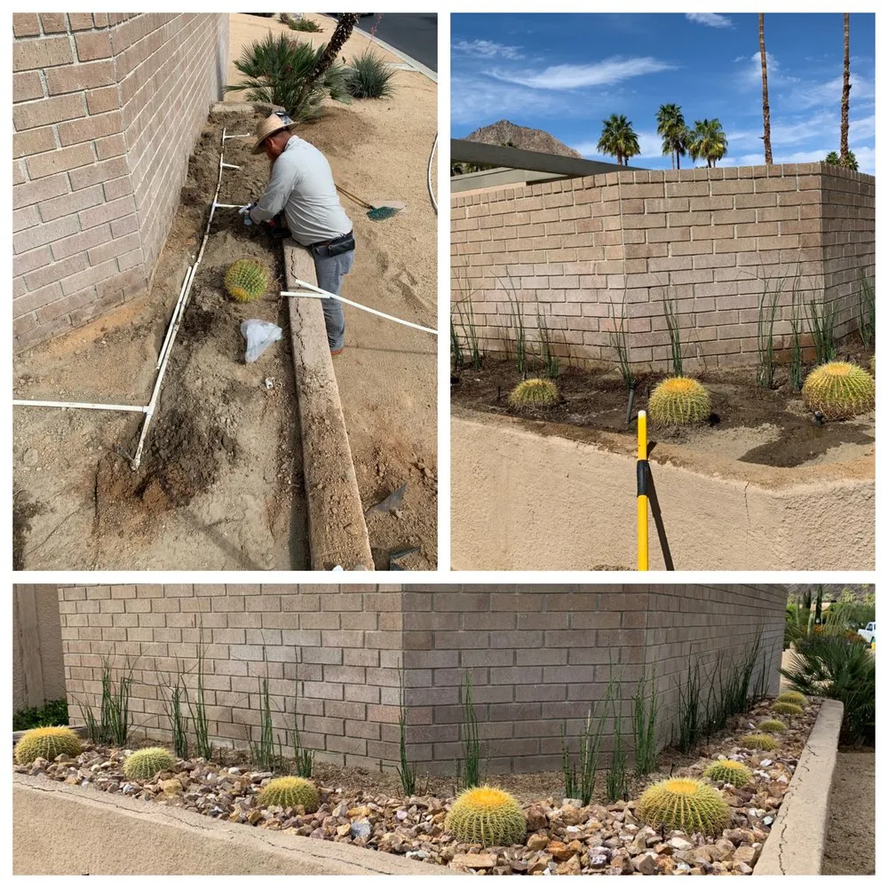 Top-rated yard maintenance for residential properties in Palm Springs, CA by True Landscaping