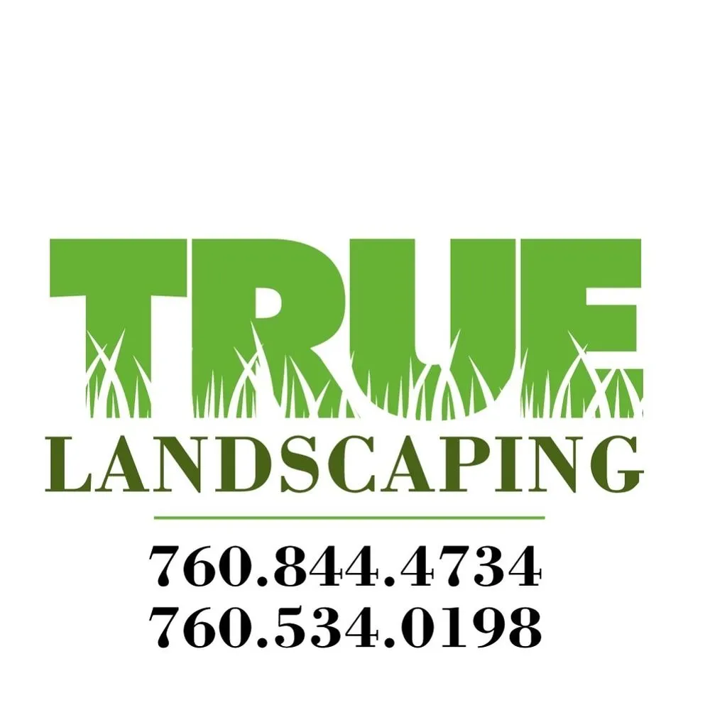 Reliable landscaping services in Palm Springs, CA by True Landscaping