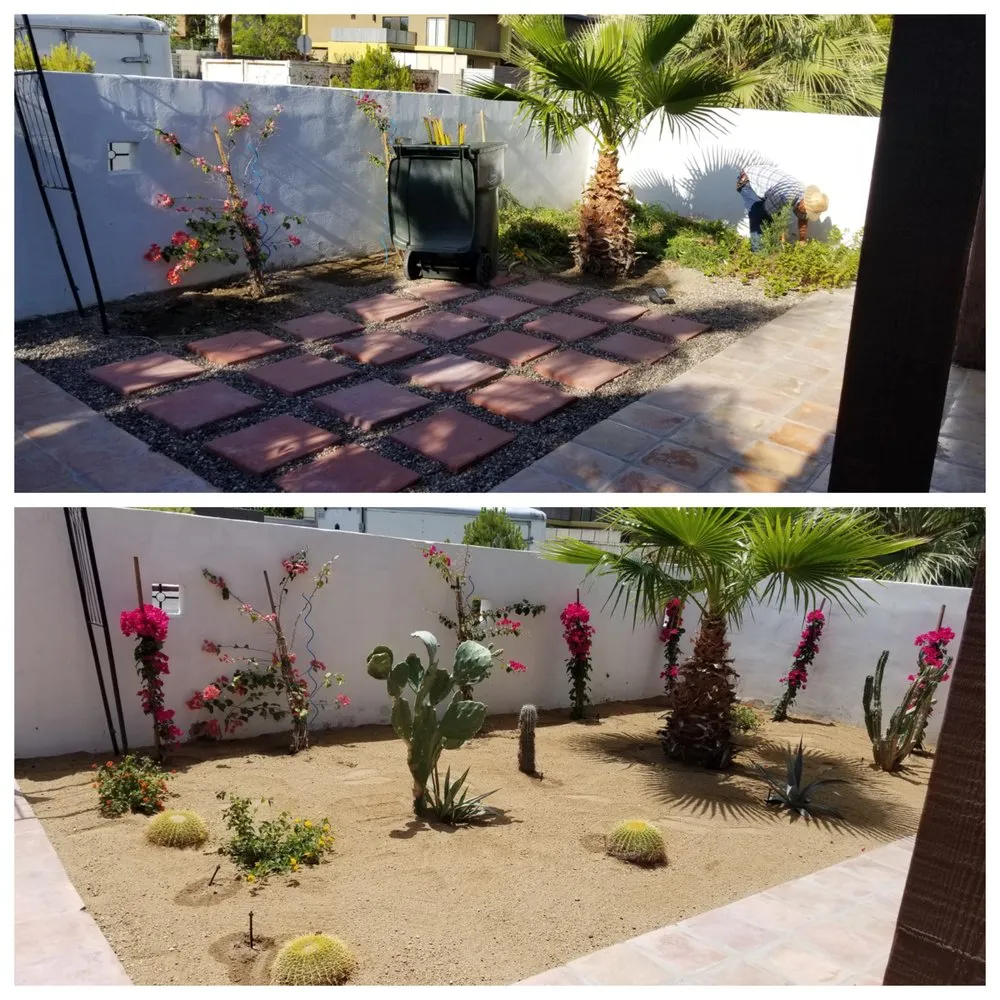 Reliable yard maintenance for year-round maintenance across Palm Springs, CA - True Landscaping