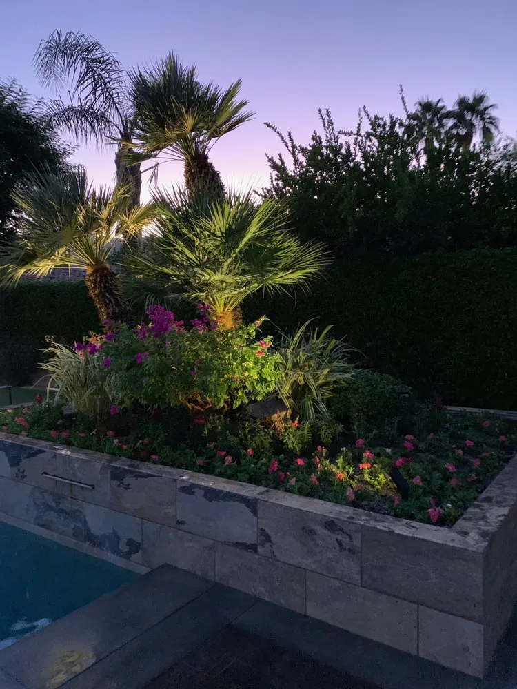 Professional outdoor landscaping for beautiful yards across Palm Springs, CA - True Landscaping