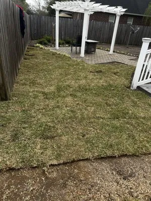 True Landscaping Logo