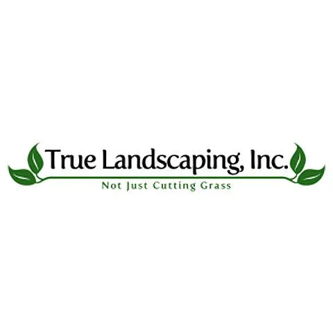 Trusted lawn care service for beautiful yards in Wickliffe, OH by True Landscaping