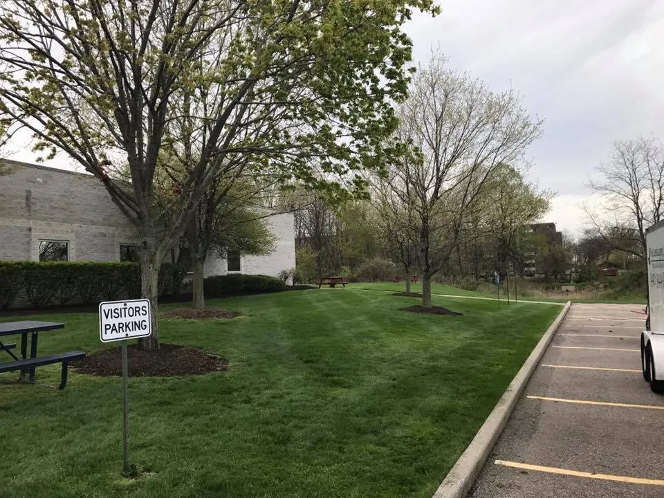 Custom yard cleanup service for beautiful yards across Wickliffe, OH - True Landscaping