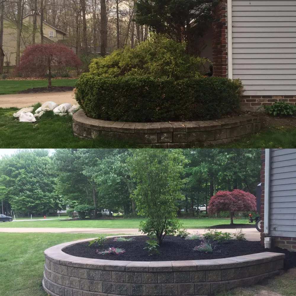 Reliable lawn care service experts serving Wickliffe, OH - True Landscaping