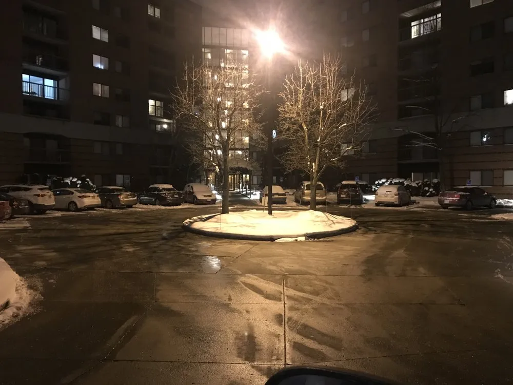 Affordable landscaping services experts serving Wickliffe, OH - True Landscaping