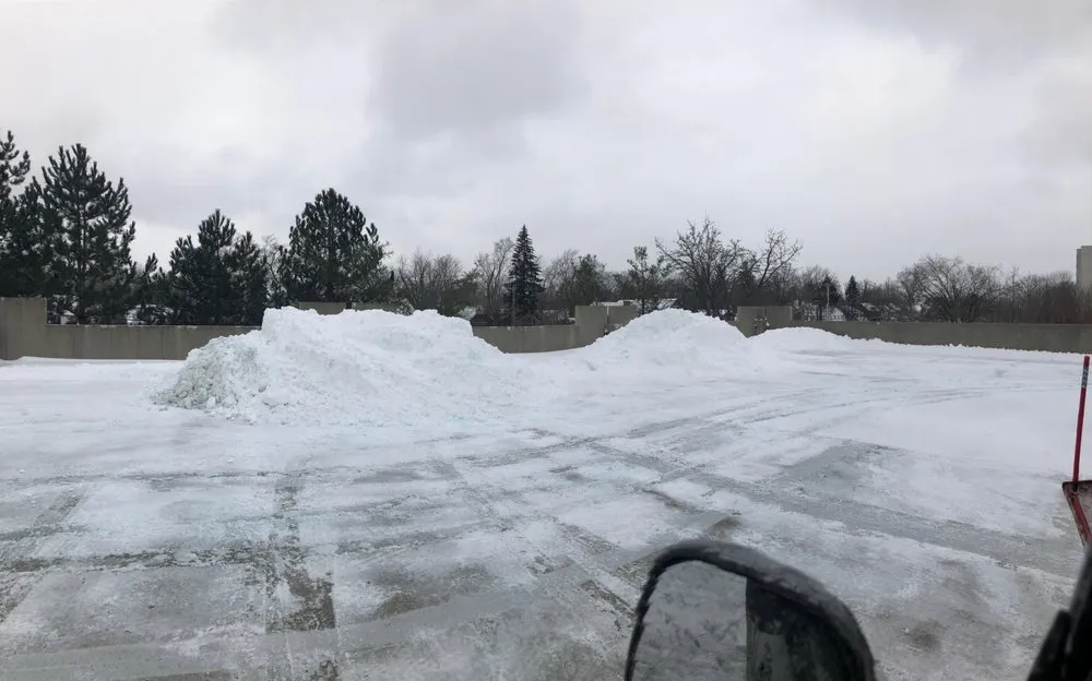 Top-rated yard cleanup service in Wickliffe, OH by True Landscaping