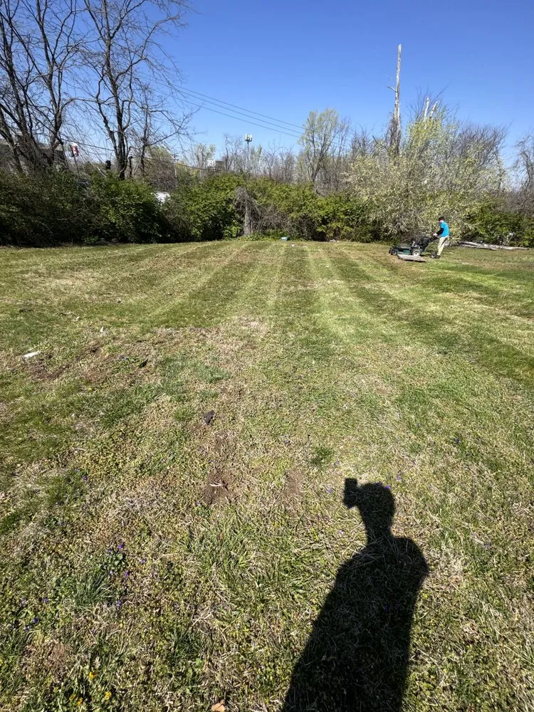 Top-rated landscaping services in Festus, MO - True Lawn and Landscaping