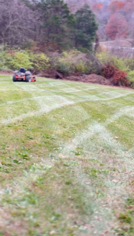 Local lawn care service in Festus, MO - True Lawn and Landscaping