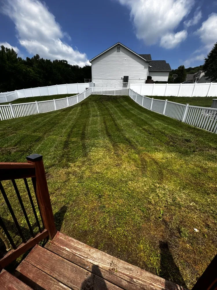 Expert lawn care service in Festus, MO by True Lawn and Landscaping