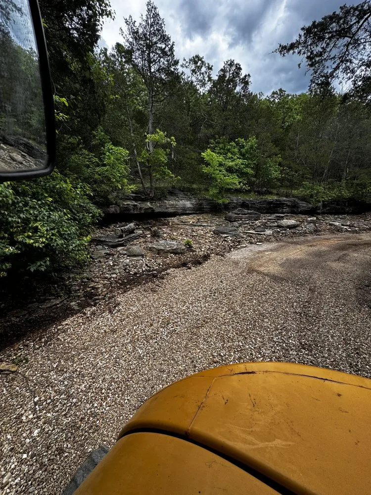Custom yard maintenance in Festus, MO by True Lawn and Landscaping