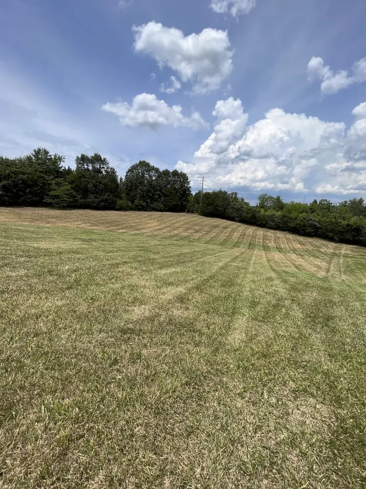 Expert landscape installation in Festus, MO - True Lawn and Landscaping