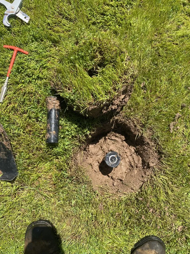 Local lawn mowing service experts serving Apache Junction, AZ - True Lawn and Tree Care