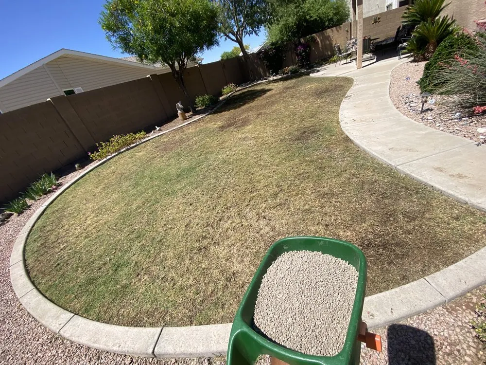 Custom garden landscaping in Apache Junction, AZ by True Lawn and Tree Care