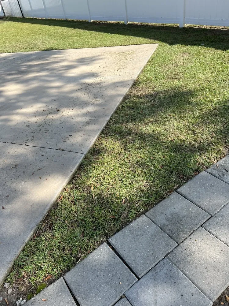 Top-rated landscape installation for year-round maintenance in Greenville, NC by True Lawn Care & Landscaping