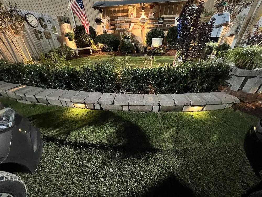 Expert yard cleanup service experts serving Greenville, NC - True Lawn Care & Landscaping