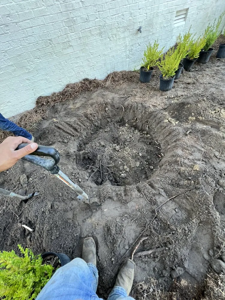 Affordable landscape design in Greenville, NC by True Lawn Care & Landscaping