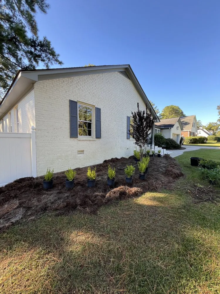 Top-rated yard cleanup service experts serving Greenville, NC - True Lawn Care & Landscaping