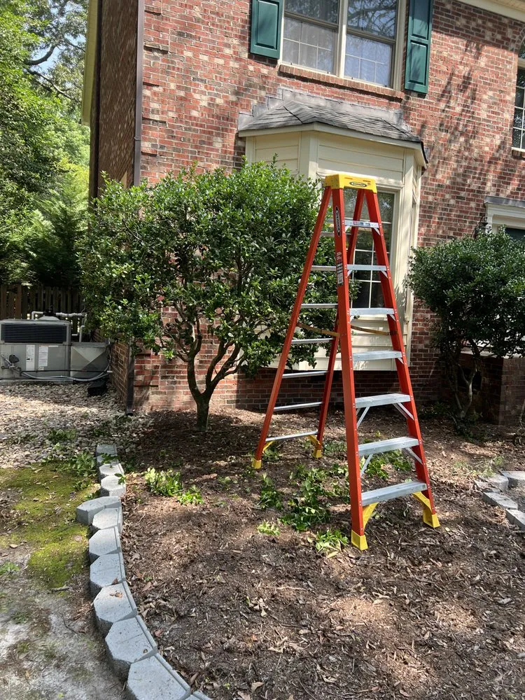 Top-rated landscape installation experts serving Greenville, NC - True Lawn Care & Landscaping