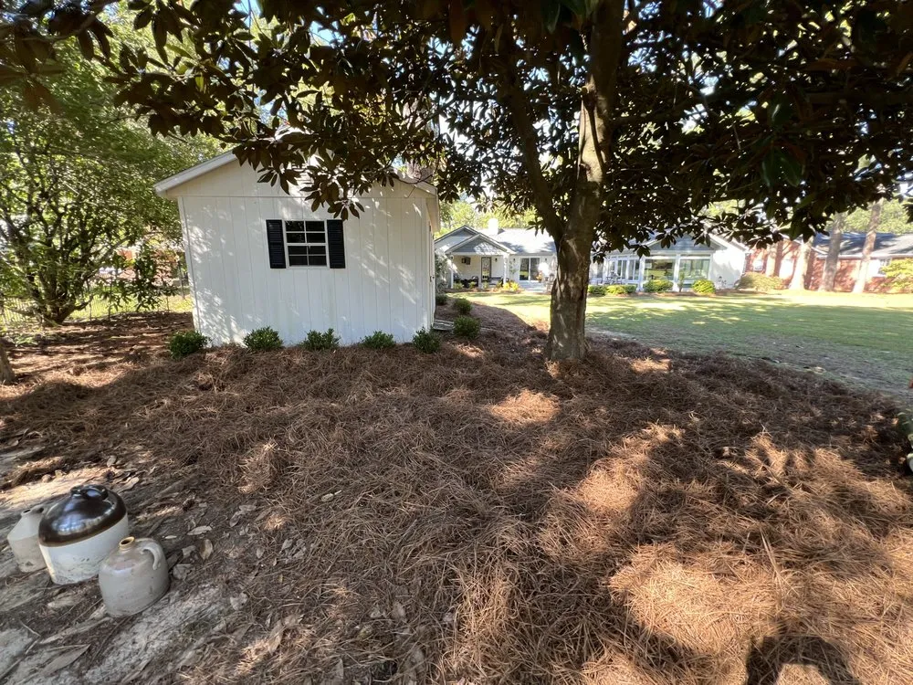 Professional residential landscaping experts serving Greenville, NC - True Lawn Care & Landscaping