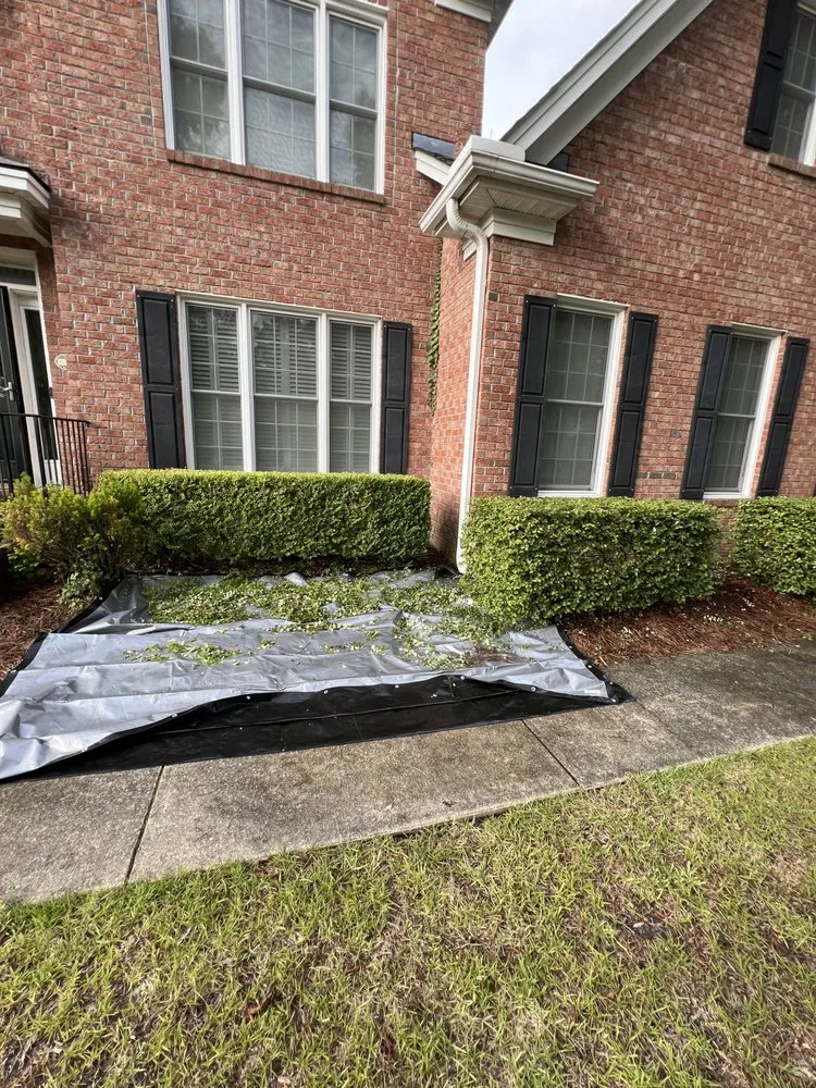 Trusted landscaping services in Greenville, NC by True Lawn Care & Landscaping