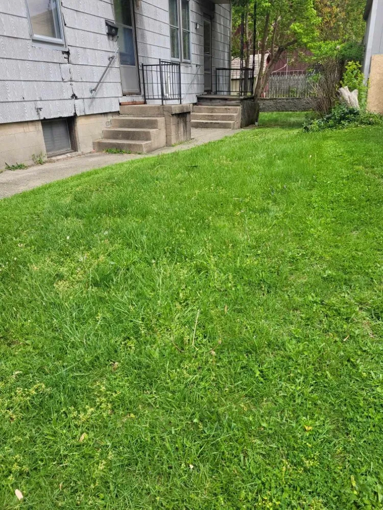 Reliable residential landscaping in Florence, KY by True Lawn Care