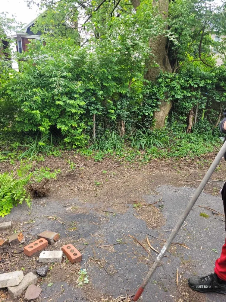 Local yard maintenance in Florence, KY - True Lawn Care