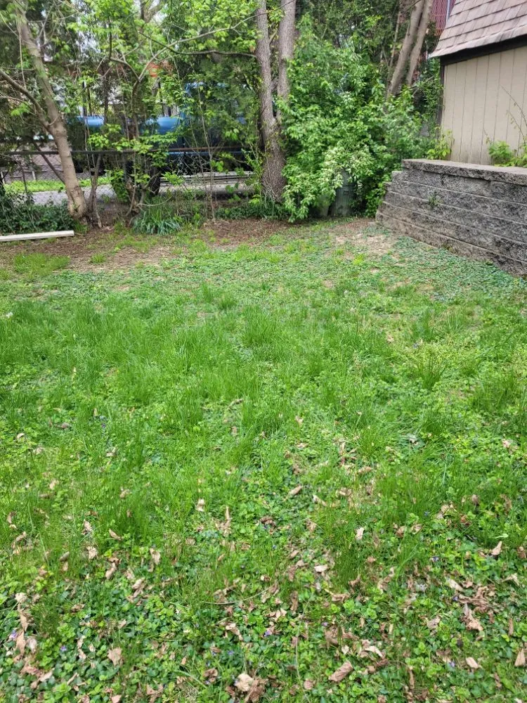 Reliable garden landscaping experts serving Florence, KY - True Lawn Care