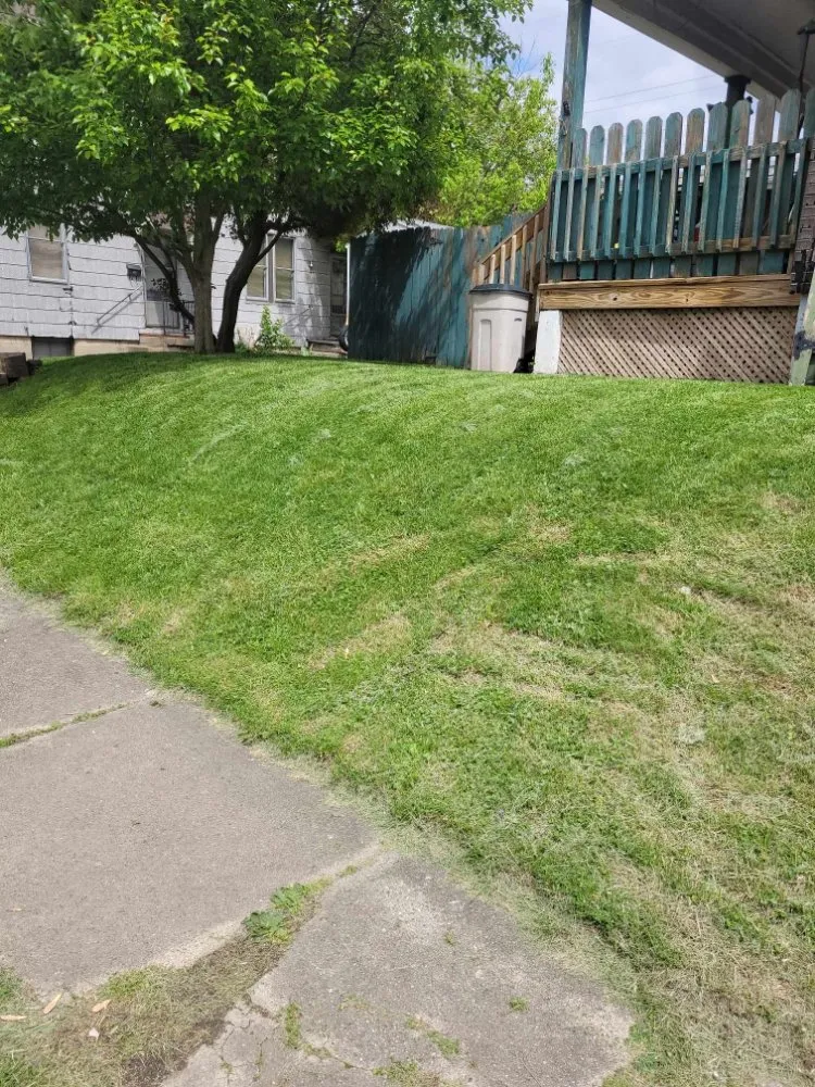 Local yard maintenance experts serving Florence, KY - True Lawn Care