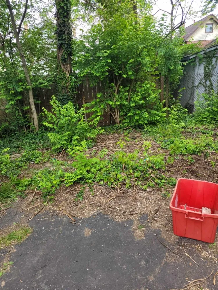 Affordable landscaping services experts serving Florence, KY - True Lawn Care