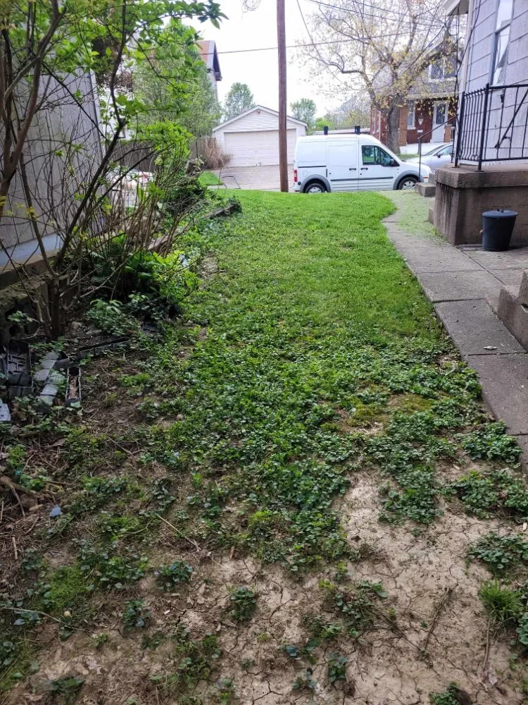 Local landscape installation in Florence, KY - True Lawn Care