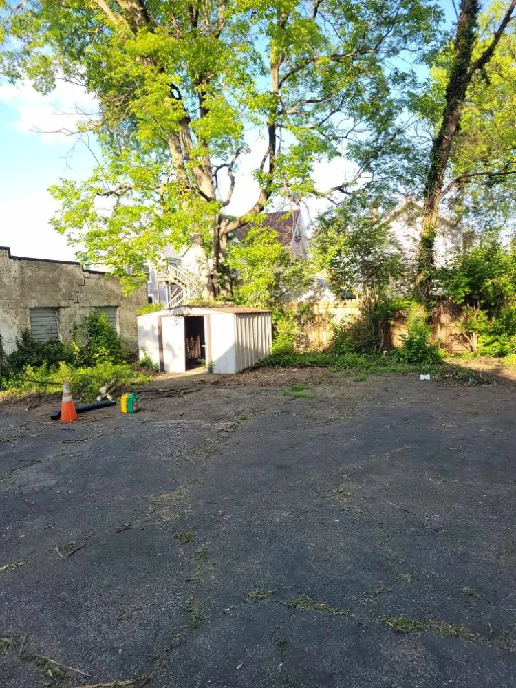 Local yard maintenance in Florence, KY - True Lawn Care