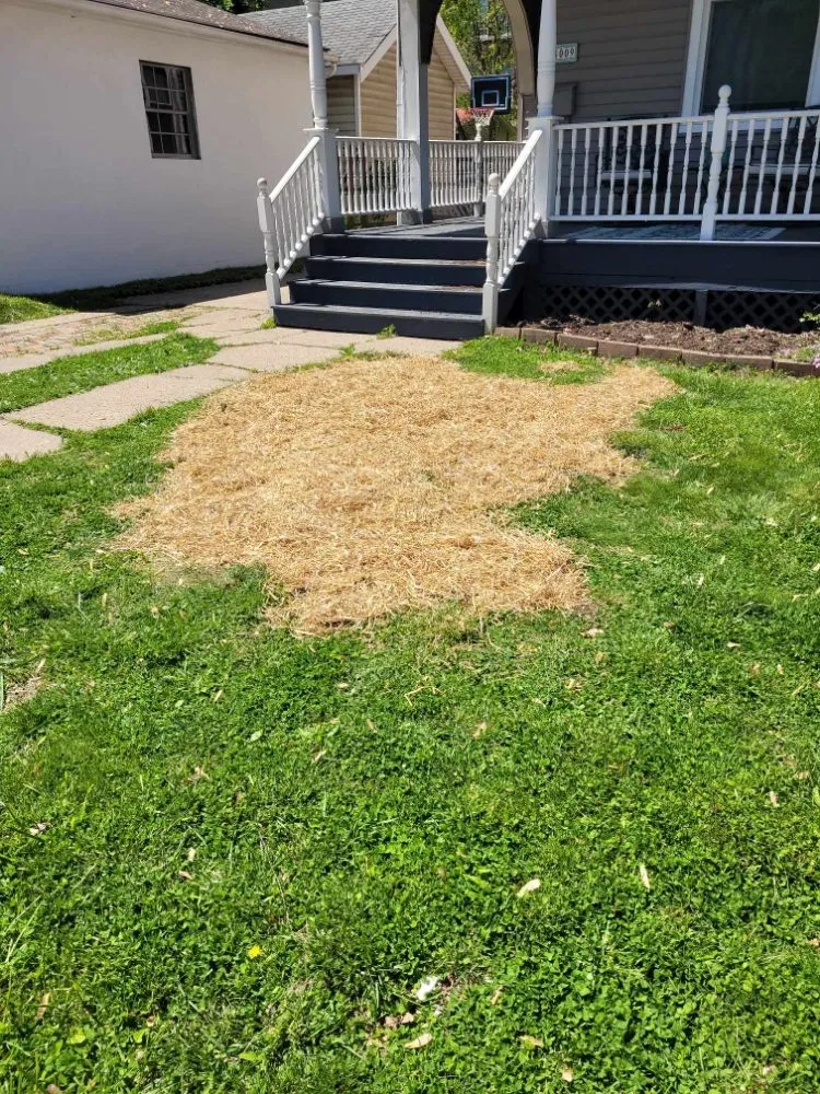 Expert garden landscaping with custom design in Florence, KY by True Lawn Care